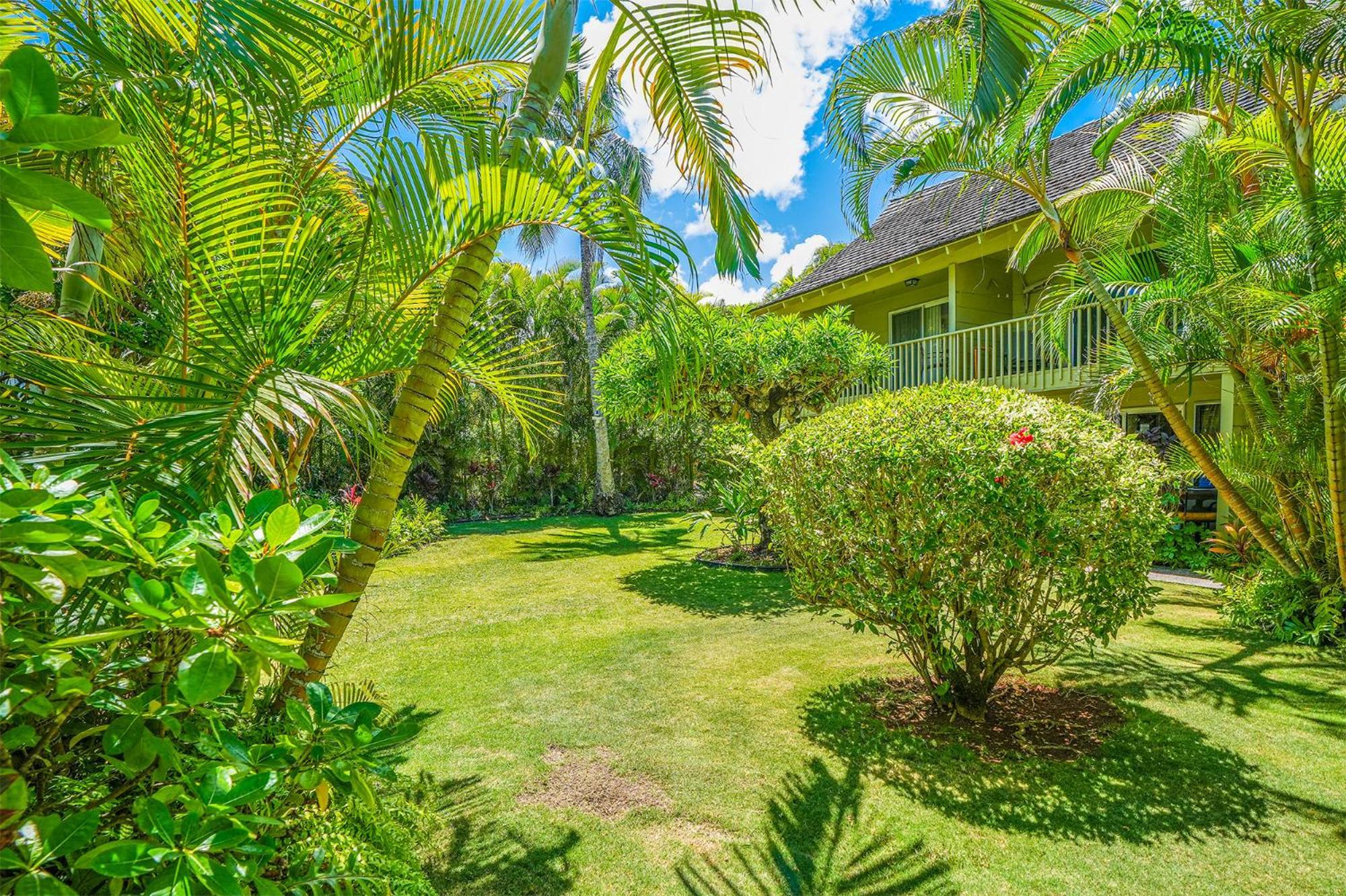 Hale Kai At Kapaa Sands 15 Kapa'a Dış mekan fotoğraf
